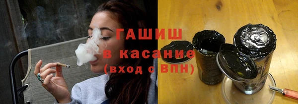 гашик Алексин
