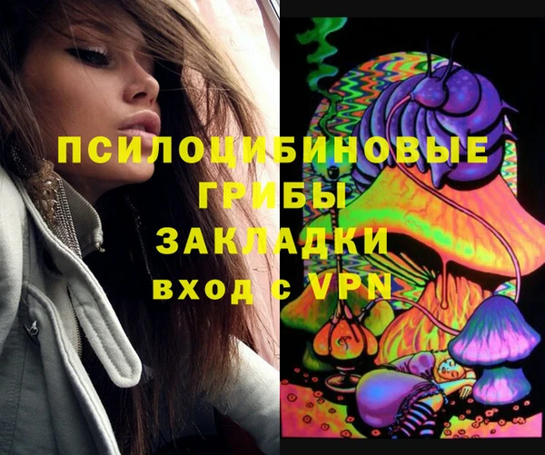 спайс Арсеньев