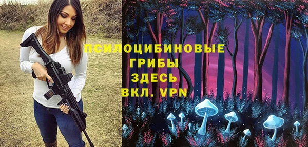 a pvp Аркадак