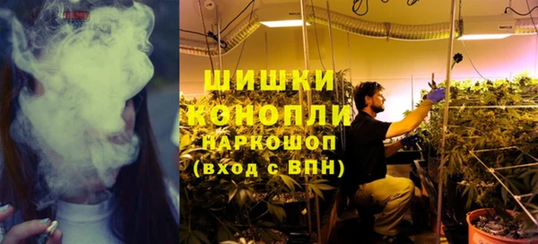 PSILOCYBIN Армянск