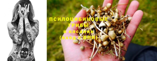 PSILOCYBIN Армянск