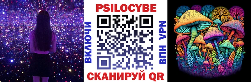 купить наркоту  Нижнеудинск  Псилоцибиновые грибы мицелий 